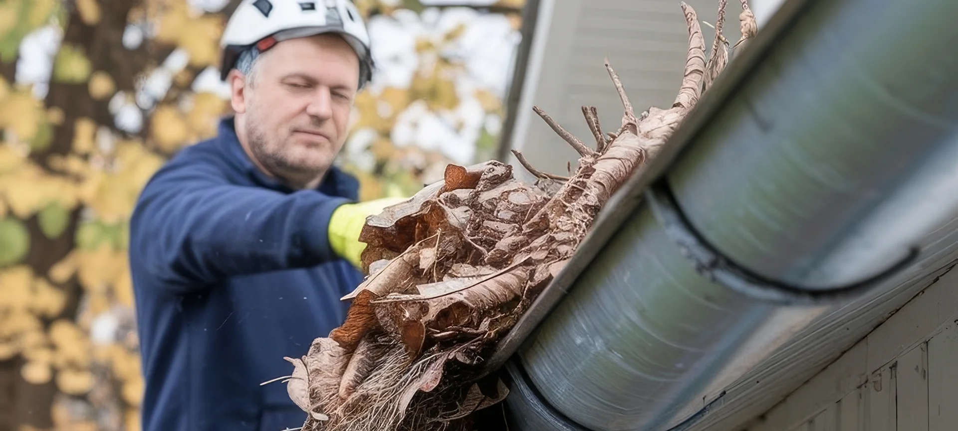 Gutter Cleaning