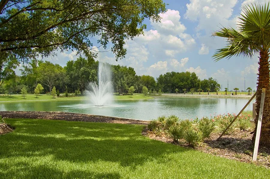 Retention Pond Maintenance