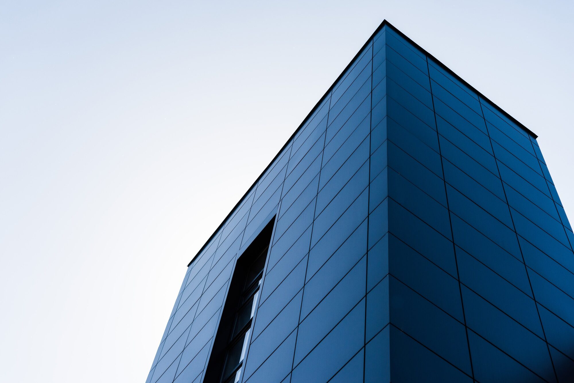 Wall & Window Repairs