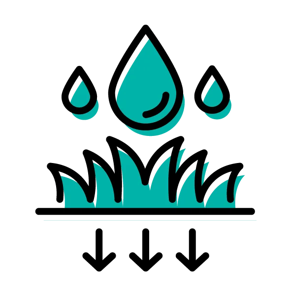 Rentention Pond Maintenance