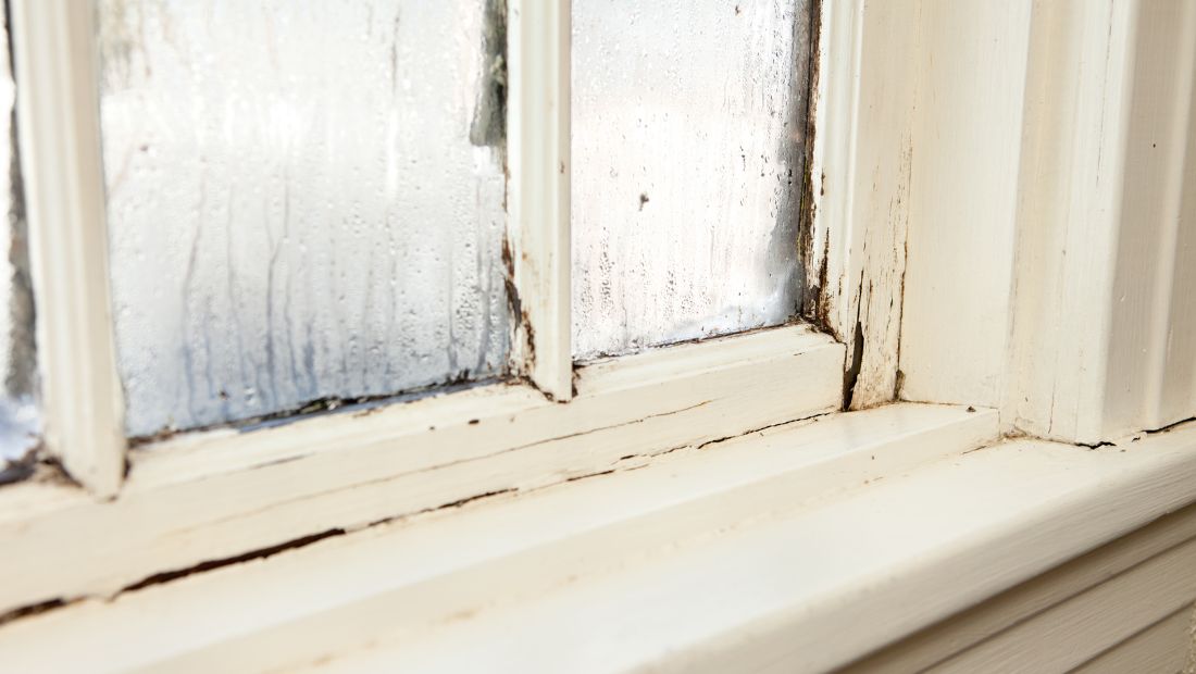 Condensation and peeling paint on window sill showing early signs of rotting window frames and moisture damage